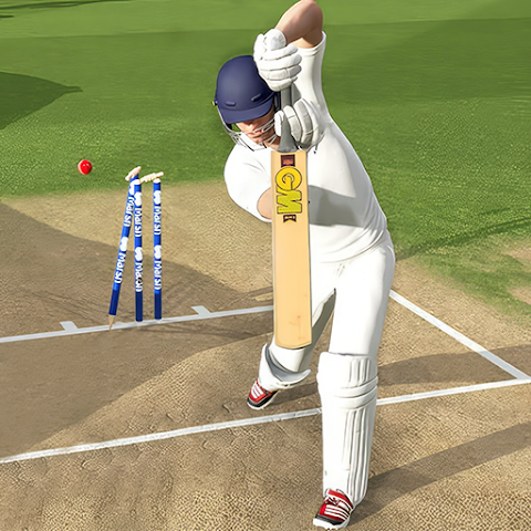 Cricket Game